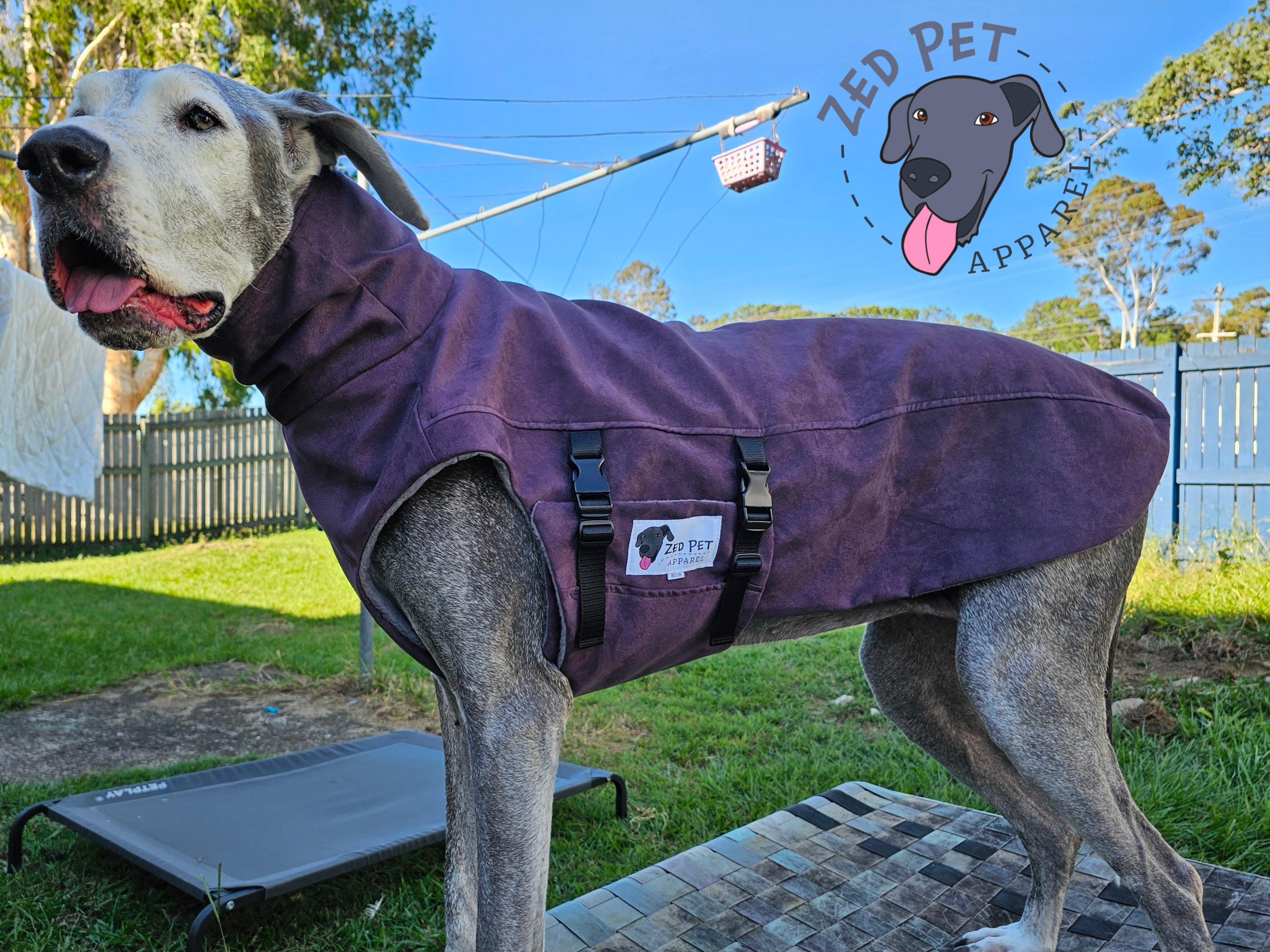 Australian Made Dog Coats and Jackets Zed Threadz Zed Pet Apparel