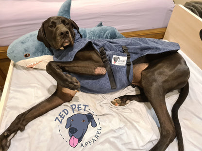 Great dane laying in bed wearing navy dog coat jacket